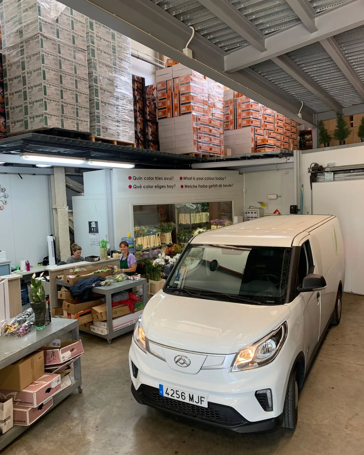 b8b952618a391fec64ba846508b598379543b924